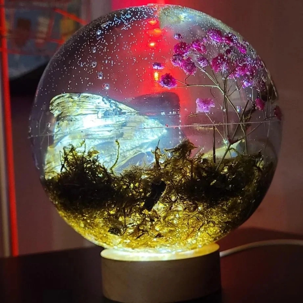 Real Silk Moth in Gazing Ball